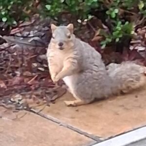 Cute little guy
